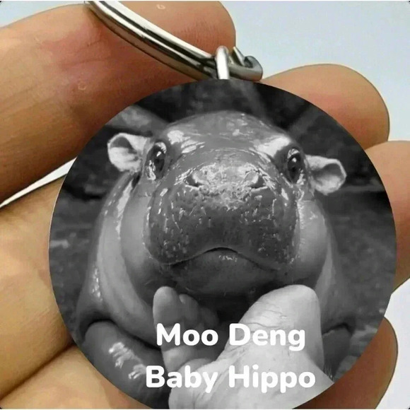Moo Deng Baby Hippo Hot Funng Angry Animal Cute Adorable Keychain - Picture 1 of 1